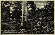 Głubczyce : widok na dziewiętnastowieczny park z pomnikiem niedźwiedzia i fontannami