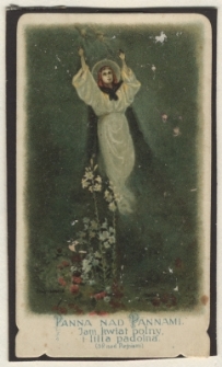 Panna nad Pannami. Jam kwiat polny, i lilia padolna (Z. P. nad Pieśniami)