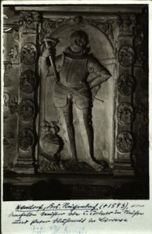 Nowa Wieś : płaskorzeźba