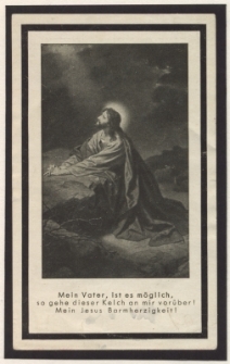 Mein Vater, ist es mӧglich, so gehe dieser Kelch an mir vor&uuml;ber! Mein Jesus Barmherzigkeit!