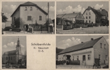 Schobersfelde Kr. Neustadt : Rogosch, Fleischerei u. Warenhandlung, Kriegerdenkmal mit Schule, Kirche, Gasthaus zum schwarzen Ro&szlig;, P. Donitza