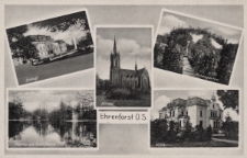 Ehrenforst O. S. : Schloß, Kirche, Rosengarten, Partie am Schloßteich, Villa