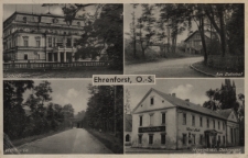 Ehrenforst O. S. : Schlo&szlig;, Am Bahnhof, Waldpartie, Hotel Stadt Oehringen