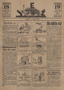 Jeż : 18 to numer Polsko-Katolickiej Partji Ludowej do Sejmu pruskiego, 19 to numer Katolickiej Partji Ludowej do Parlamentu