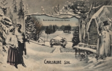 Carlsruhe Schl. : Blick nach den Künstlichen Bergen