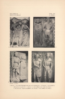 Tafel 223 Bildnisse : Bolko II. von M&uuml;nsterberg und Jutta in Heinrichau ; Wenzel I. von Liegnitz und Anna in Liegnitz ; Bolko III. von Oppeln und Anna in Oppeln ; Boleslaus I. von Falkenberg und Bolko II. von Oppeln in Oppeln