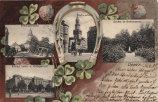 Oppeln : Schlossbr&uuml;cke, Rathausturm, Grotte im Schlosspark, K&ouml;nigl. Land- und Amtsgericht