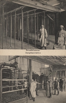 K&ouml;nigliche Sanierungsanstalt Oppeln : Schwefelkammer, Dampfdesinfektion