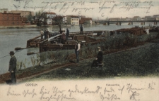 Oppeln : Oderpartie