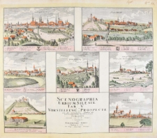 Scenographia urbium Silesiae. Tab. V