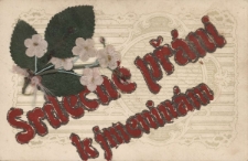 Srdecn&eacute; př&aacute;ni k jmenin&aacute;m