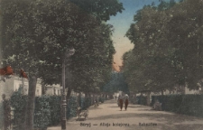 Stryj : Aleja kolejowa