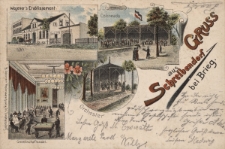 Gruss aus Schreibendorf bei Brieg : Wegener's Etablissement, Colonnade, Gesellschaftssaal, Orchester