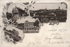 Gruss aus Zülz (Schles.) : Kgl. Seminar, Rathaus, Bahnhof
