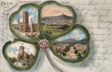 Gruss aus Ziegenhals : Krieger-Denkmal mit Amtsgericht, Totalansicht, Promenadenstrasse, Hohenzollerwarte