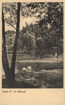 Oppeln OS. : Im Bolkopark