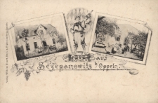 Gruss aus Sczepanowitz b/Oppeln : Schwiese's Restaurant, Saal u. Garten