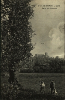 Bolk&oacute;w : widok na zamek od strony parku