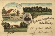 Grodk&oacute;w : leśnicz&oacute;wka, dom celny, las miejski, portret celnika