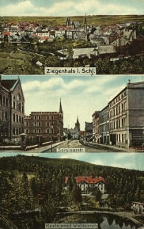 Głuchołazy : widok og&oacute;lny, ulica Seminaryjna, restauracja &bdquo;Waldesruh&rdquo;