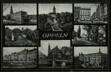 Oppeln : Rathaus, Piastenschloss, Ring und Nicolaistrasse, Promenade, Moltkestrasse, Evg. Kirche Schlossbr&uuml;cke, Friedrichsplatz, Schlosspark