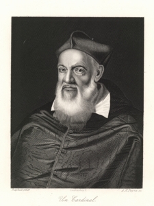 Un Cardinal / A Cardinal / Ein Cardinal / Kardynał