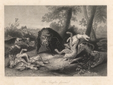 Un Sanglier furieux / A Wild Boar Hunt / Ein w&uuml;thender Eber / Rozjuszony odyniec