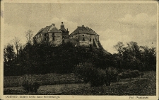 Olesko : zamek kr&oacute;la Jana Sobieskiego