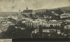 Brzeżany : widok