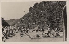 Zaleszczyki : plaża