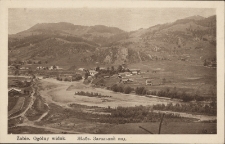 Żabie : widok og&oacute;lny