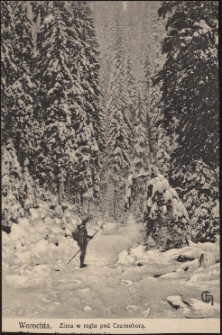 Worochta : zima w reglu pod Czarnohorą