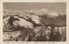 Worochta : widok na Howerlę