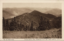 Mikuliczyn : szczyt Hrebla 1292 i Swinianka 1121 w dali pasmo Rokiety 1114 m.