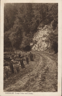 Jaremcze : droga leśna nad Żonką