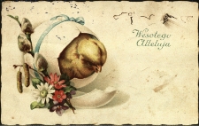 Święta religijne : Wesołego Alleluja