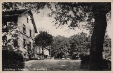 Złotoryja : Restauracja B&uuml;rgerberg