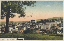 Brzeżany : widok og&oacute;lny