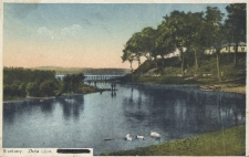 Brzeżany : Złota Lipa