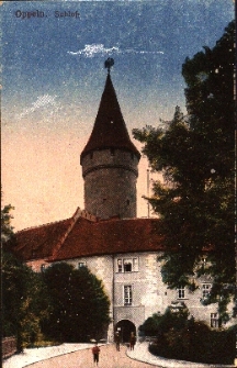 Opole : Zamek Piastowski od strony mostu