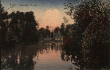 Nysa : widok na staw w parku