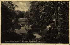 Brzeg : staw łabędzi w Parku Centralnym